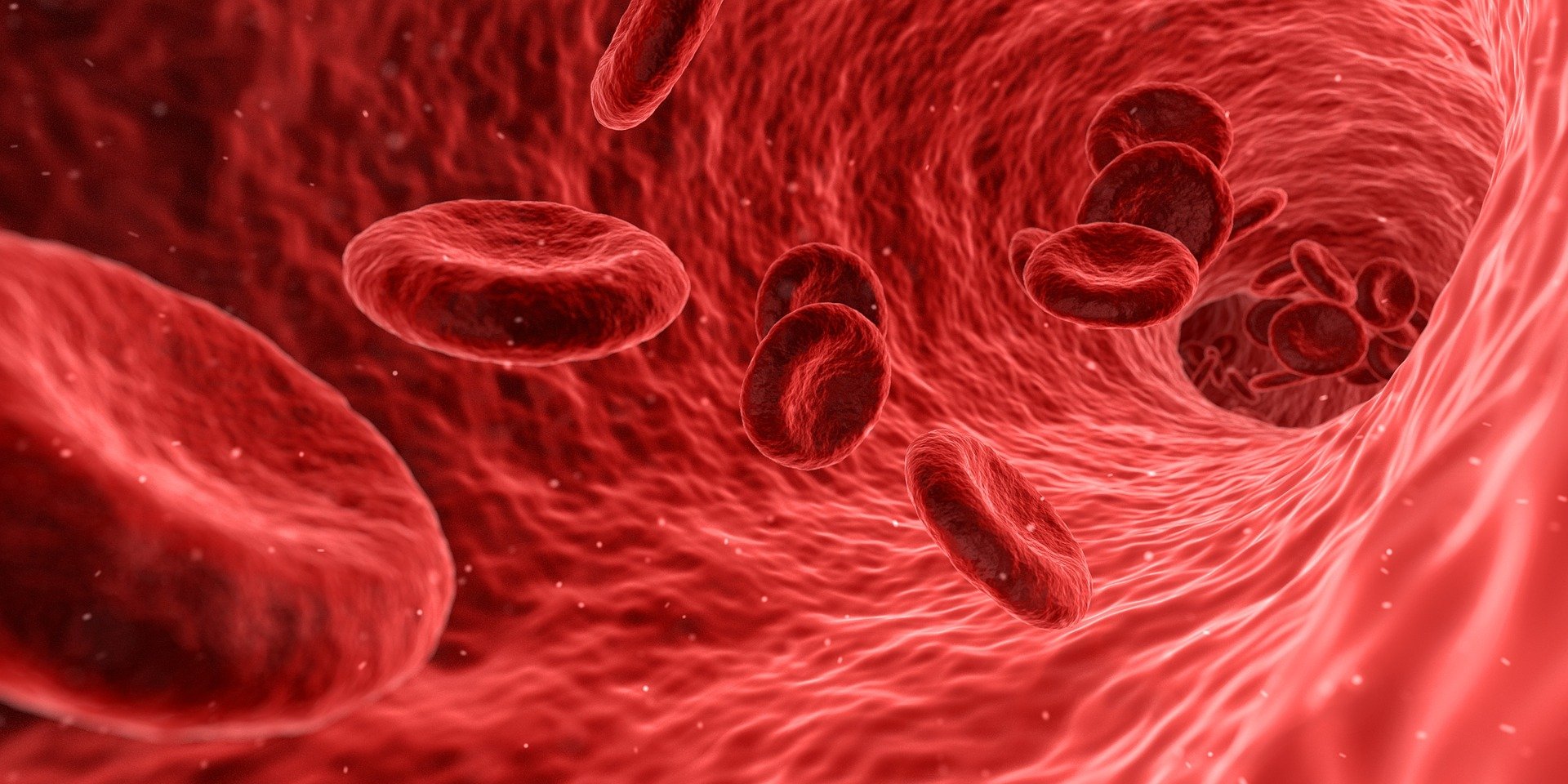 blood-gd98a074c9_1920
